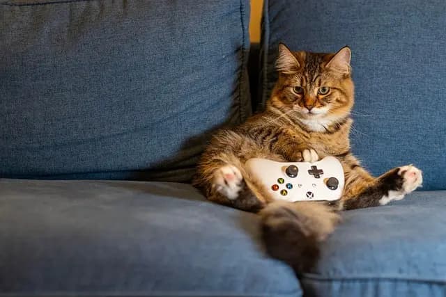 Les nouvelles tendances des jeux et gadgets à suivre